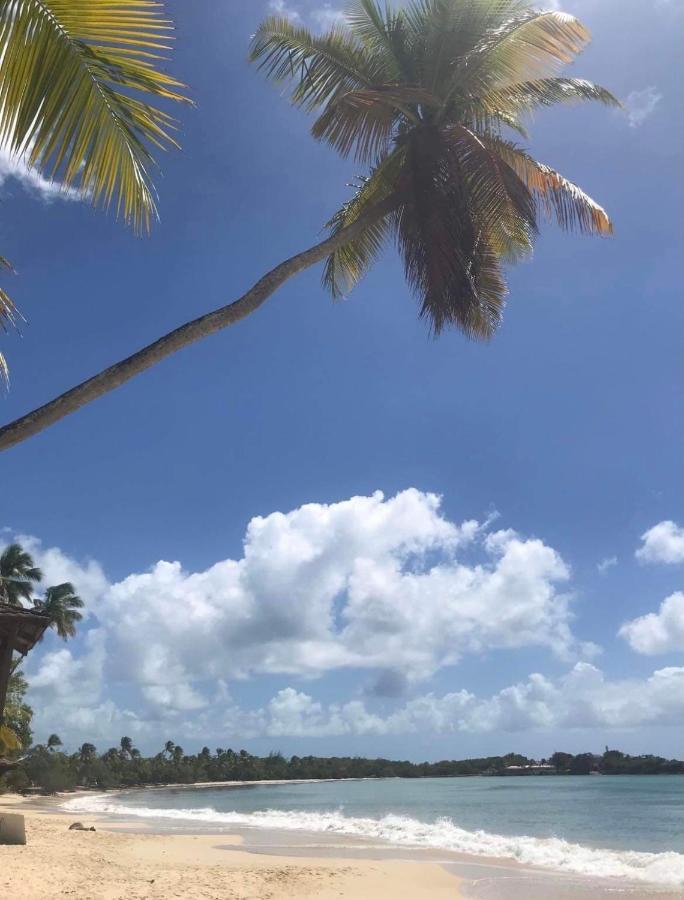 Couleur Caraibes-Cocobeach Martinique Pierre Et Vacances Сент-Люс Екстер'єр фото