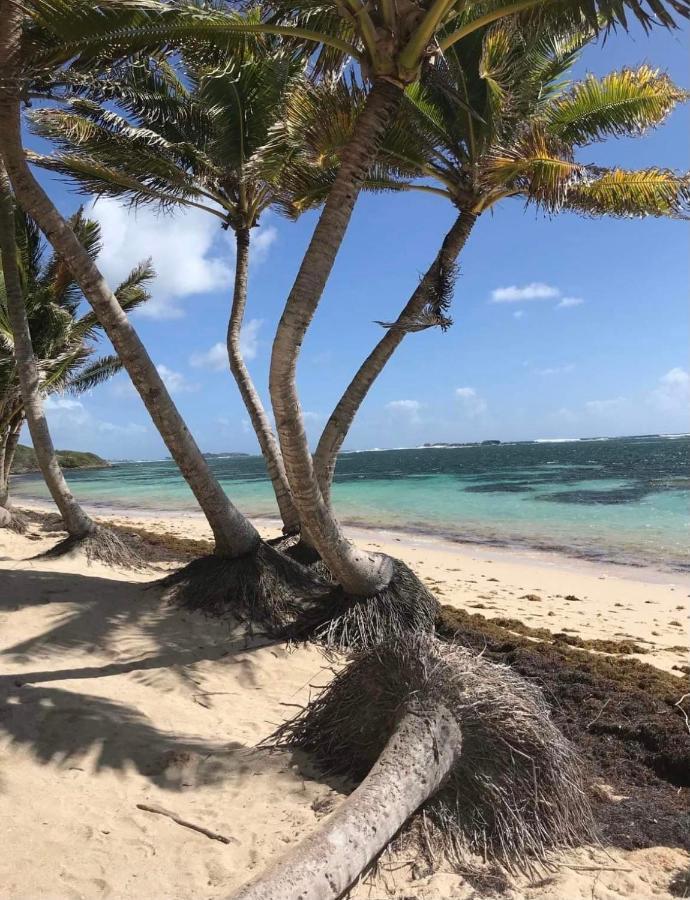 Couleur Caraibes-Cocobeach Martinique Pierre Et Vacances Сент-Люс Екстер'єр фото