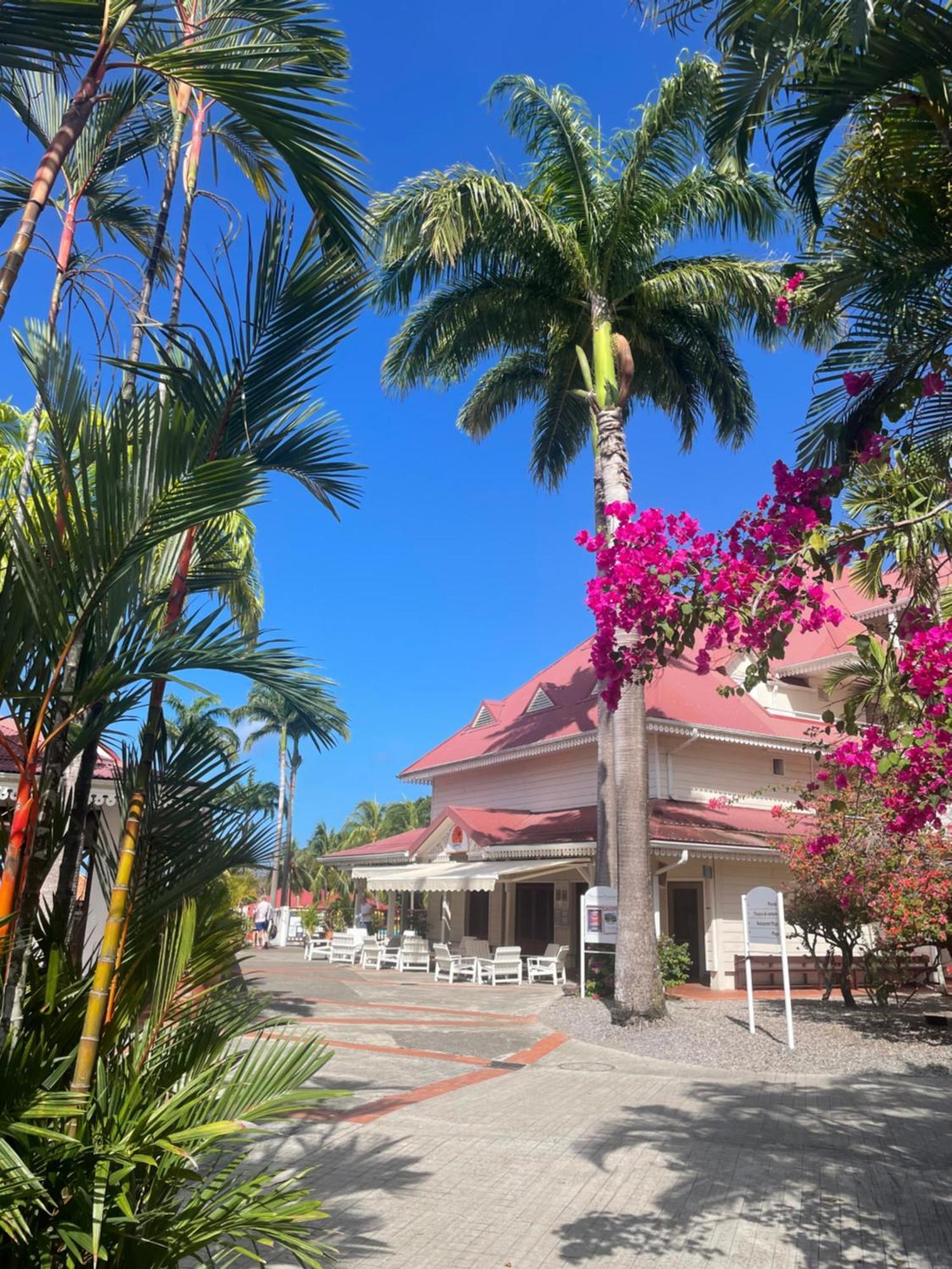 Couleur Caraibes-Cocobeach Martinique Pierre Et Vacances Сент-Люс Екстер'єр фото