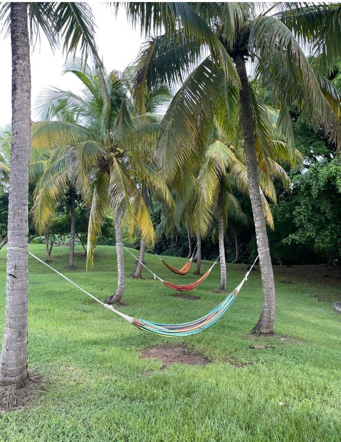 Couleur Caraibes-Cocobeach Martinique Pierre Et Vacances Сент-Люс Екстер'єр фото