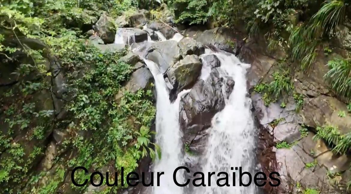 Couleur Caraibes-Cocobeach Martinique Pierre Et Vacances Сент-Люс Екстер'єр фото