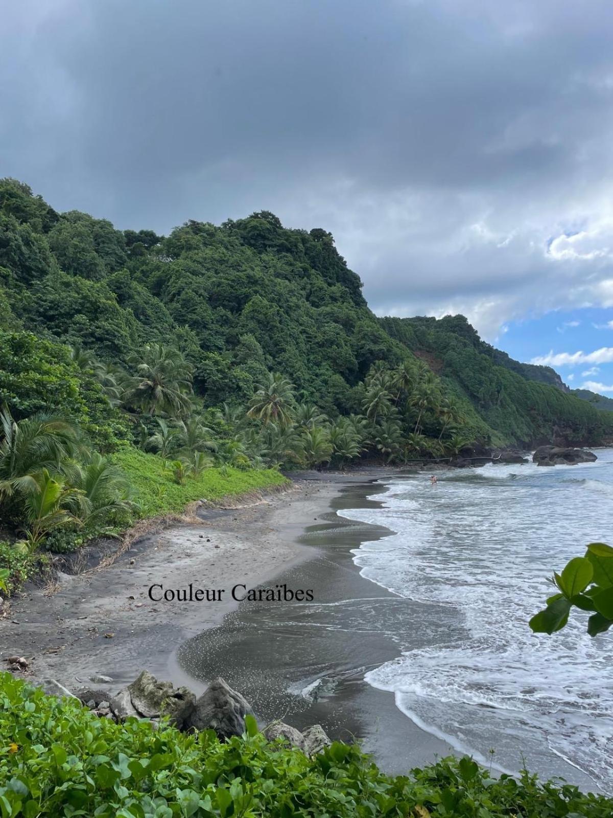 Couleur Caraibes-Cocobeach Martinique Pierre Et Vacances Сент-Люс Екстер'єр фото